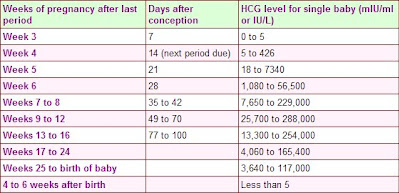 What Are Normal HCG Levels At 4 Weeks Pregnant-Pregnancyzone